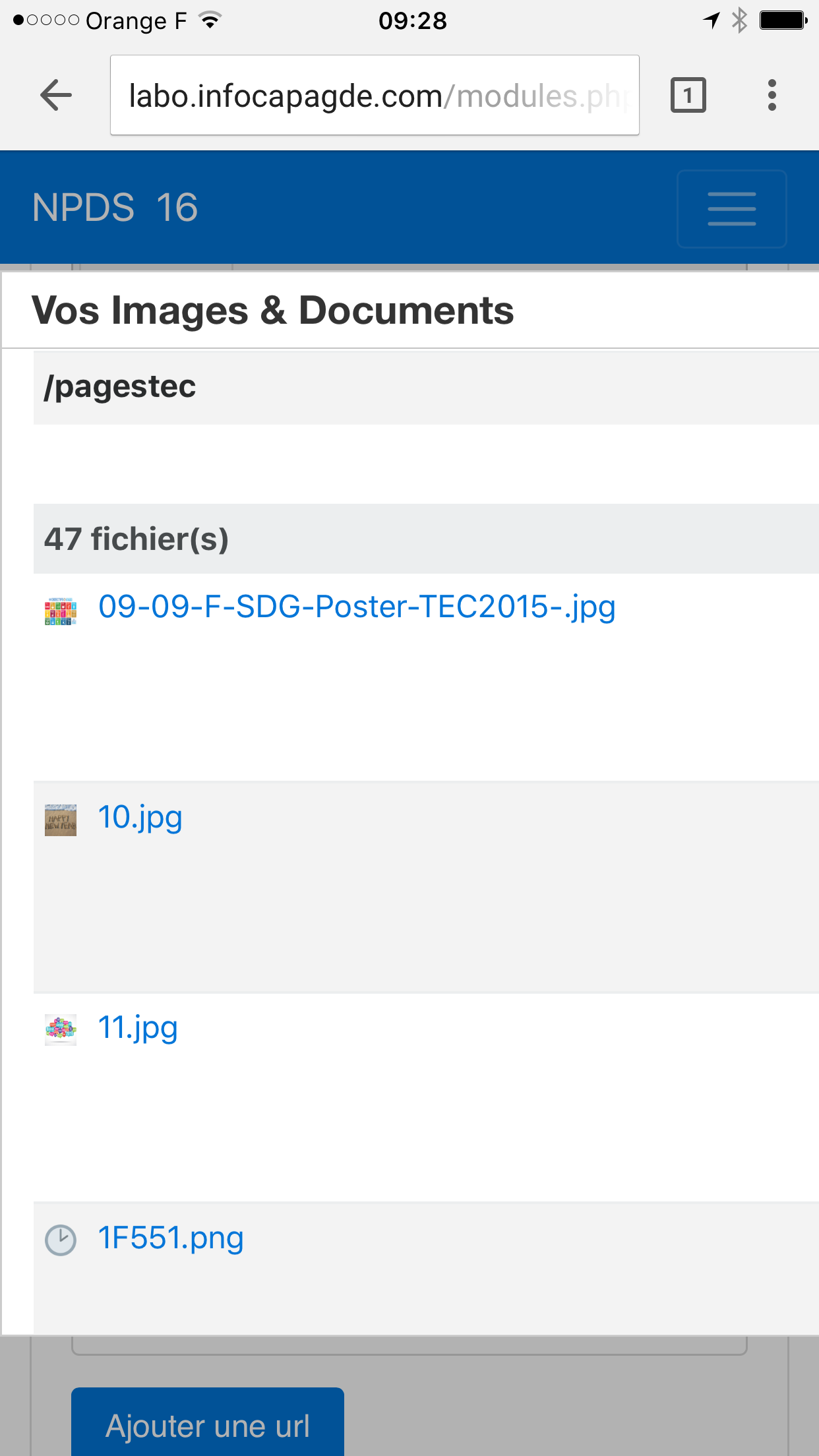 IMG_5892.PNG