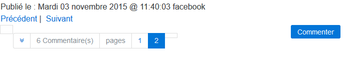 commentaires_2.PNG