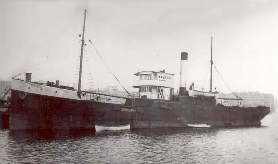 Gaulois — photo 1