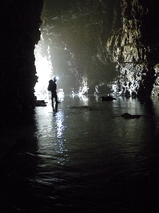 20260110183730-3.jpg<br />imp imp