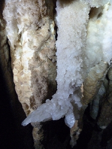 20260110183730-5.jpg<br />imp imp