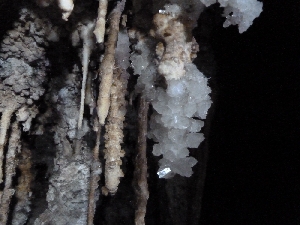 20260110183730-9.jpg<br />imp imp